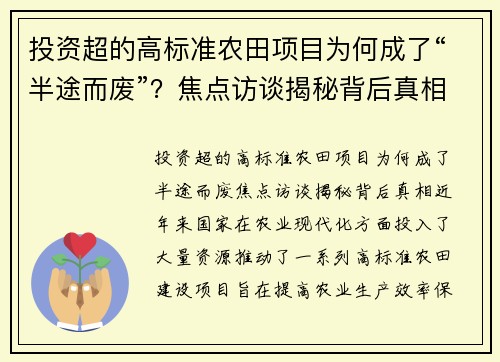 投资超的高标准农田项目为何成了“半途而废”?焦点访谈揭秘背后真相