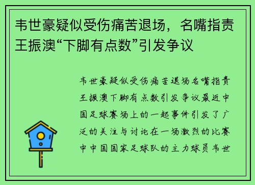 韦世豪疑似受伤痛苦退场，名嘴指责王振澳“下脚有点数”引发争议