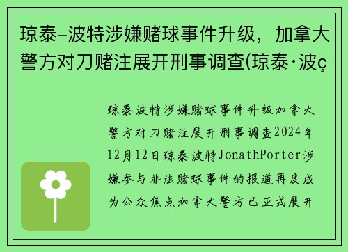 琼泰-波特涉嫌赌球事件升级,加拿大警方对刀赌注展开刑事调查(琼泰·波特)