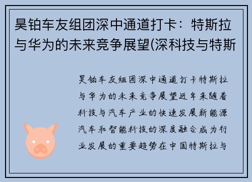 昊铂车友组团深中通道打卡：特斯拉与华为的未来竞争展望(深科技与特斯拉合作)